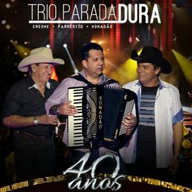 O Trio do Brasil - 40 Anos (Ao Vivo)