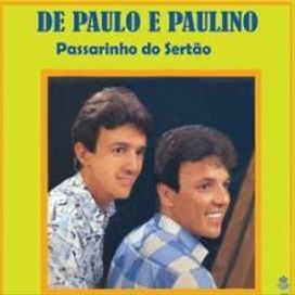 Passarinho Do Sertão
