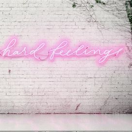 Hard Feelings