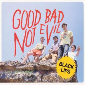 Good Bad Not Evil