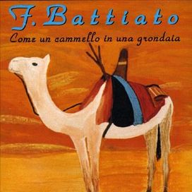 Come Un Cammello In Una Grondaia