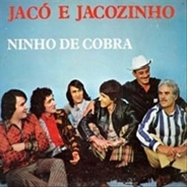 Ninho De Cobra