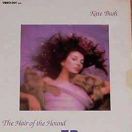 The Hair Of The Hound