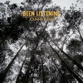 Been Listening