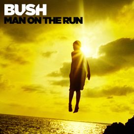 Man on the run