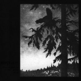 Where At Night The Wood Grouse Plays