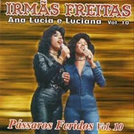 Pássaros Feridos