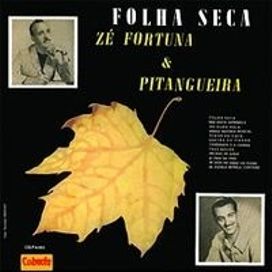 Folha Seca