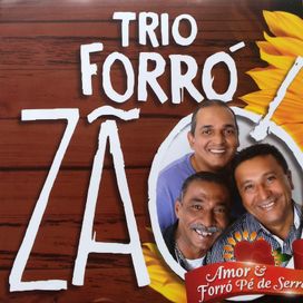 Por Amor Ao Forró