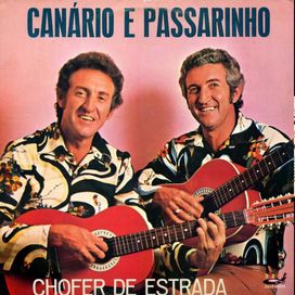 Chofer de Estrada