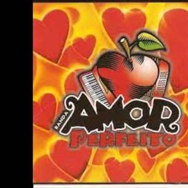 Banda Amor Perfeito - Vol. 1