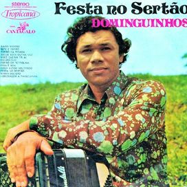 Festa No Sertão
