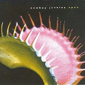 Rarities, B Sides and Slow, Sad Waltzes