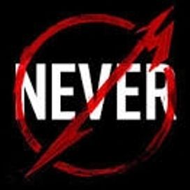 Through The Never