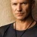 Sting