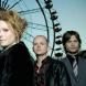 The Cardigans