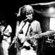 Boogarins